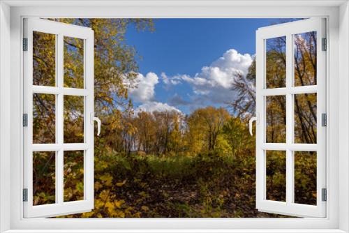 Fototapeta Naklejka Na Ścianę Okno 3D - Colorful beautiful Autumn landscaping Scenery