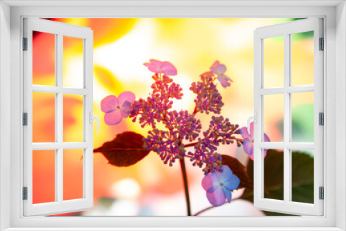 Fototapeta Naklejka Na Ścianę Okno 3D - 봄 꽃