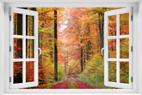 Fototapeta Naklejka Na Ścianę Okno 3D - Herbstwaldweg im Oktober