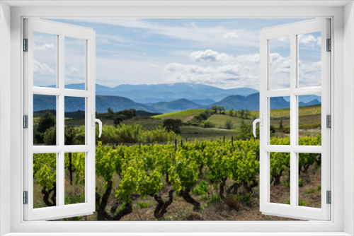 Fototapeta Naklejka Na Ścianę Okno 3D - Corbières Vineyards and Rolling Hills Landscape  in Aude France