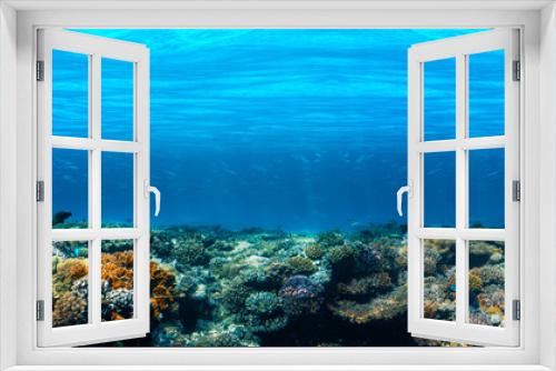 Fototapeta Naklejka Na Ścianę Okno 3D - Underwater coral reef on the red sea
