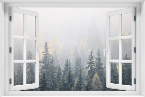 Fototapeta Naklejka Na Ścianę Okno 3D - autumn fog landscape forest mountains, trees view mist
