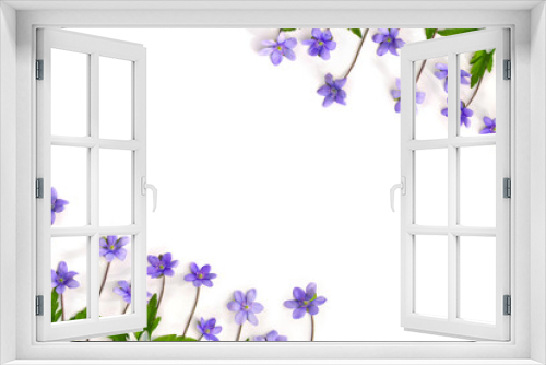 Fototapeta Naklejka Na Ścianę Okno 3D - Frame of violet blue flowers hepatica and white flowers anemone on a white background with space for text. Top view, flat lay