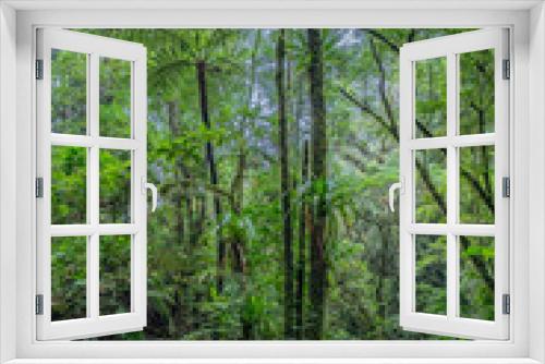 Fototapeta Naklejka Na Ścianę Okno 3D - rainforest columbia southern america