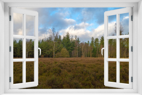 Fototapeta Naklejka Na Ścianę Okno 3D - Heath and pines in winter