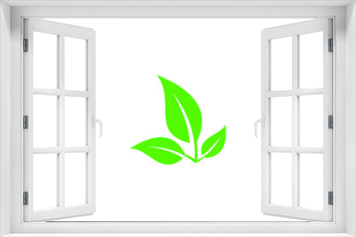 Fototapeta Naklejka Na Ścianę Okno 3D - green plant isolated on white