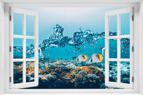 Fototapeta Naklejka Na Ścianę Okno 3D - Underwater coral reef on the red sea