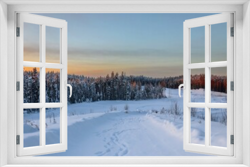 Fototapeta Naklejka Na Ścianę Okno 3D - Calm winter view of the pine forest in the forest at sunrise. Travel concept