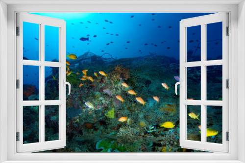 Fototapeta Naklejka Na Ścianę Okno 3D - Abandoned ghost net Philippines Coral Reefs