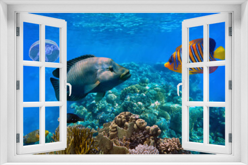 Fototapeta Naklejka Na Ścianę Okno 3D - Picturesque underwater world with bright exotic fish and coral reefs