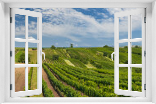 Fototapeta Naklejka Na Ścianę Okno 3D - Landscape with vineyards, Slovacko, Southern Moravia, Czech Republic