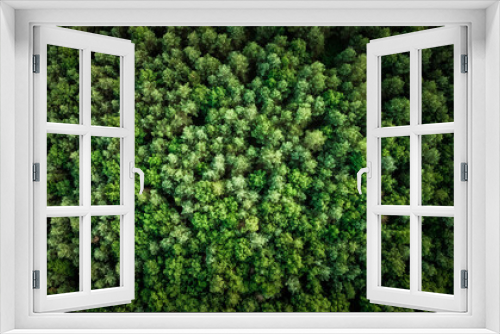 Fototapeta Naklejka Na Ścianę Okno 3D - Vue de drone sur une forêt, France