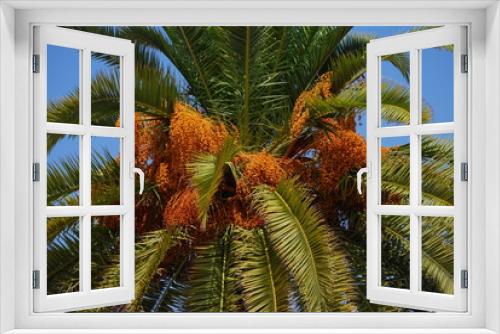 Fototapeta Naklejka Na Ścianę Okno 3D - Palmen