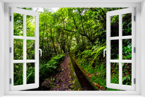 Fototapeta Naklejka Na Ścianę Okno 3D - Madeira - Levada do Rei
