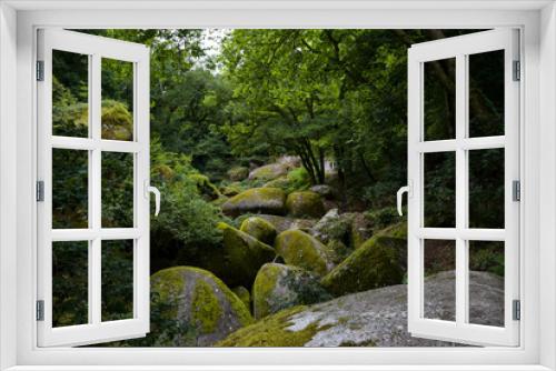 Fototapeta Naklejka Na Ścianę Okno 3D - view on the forest of huelgoat in finistere in Brittany