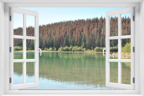 Fototapeta Naklejka Na Ścianę Okno 3D - lake in the forest