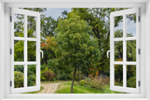 Fototapeta Naklejka Na Ścianę Okno 3D - Autumn in Bois de Boulonge park. Bois de Boulogne (