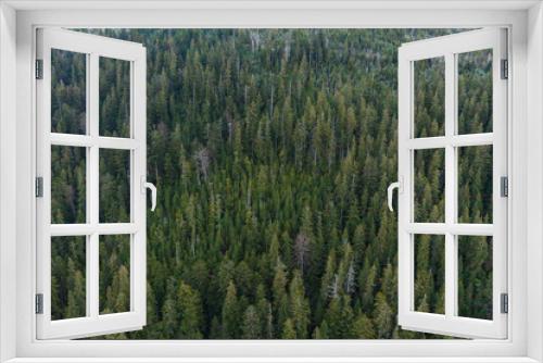 Fototapeta Naklejka Na Ścianę Okno 3D - Spruce and evergreen forests of the Carpathians in the morning sun, picturesque landscapes from a bird's eye view.