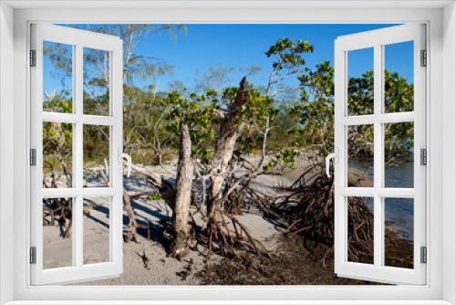 Fototapeta Naklejka Na Ścianę Okno 3D - Frazer Island - West Coast. Waterfront Mangroves