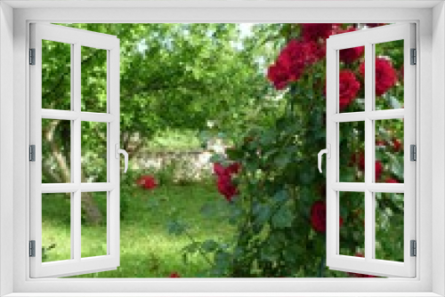 Fototapeta Naklejka Na Ścianę Okno 3D - Bush of Red Roses in a Green Garden