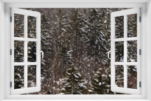 Fototapeta Naklejka Na Ścianę Okno 3D - Mixed forest with snow covered spruce trees