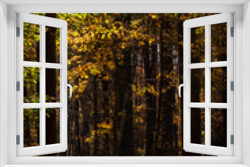 Fototapeta Naklejka Na Ścianę Okno 3D - Vertical photo of golden foliage at forest. Bright sunny day in autumnal forest. Sun is shining brightly into the forest with colorful leaves. Fall in the woods. Bright autumn day in the woodland.