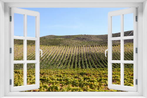 Fototapeta Naklejka Na Ścianę Okno 3D - Landscape with vineyards in northern Portugal