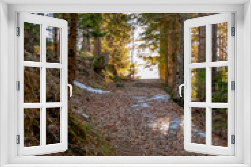 Fototapeta Naklejka Na Ścianę Okno 3D - snowy forest track