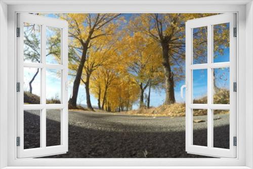 Fototapeta Naklejka Na Ścianę Okno 3D - road in autumn