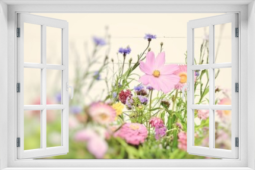 Fototapeta Naklejka Na Ścianę Okno 3D - Pastel wildflower nature background - summer greeting card 