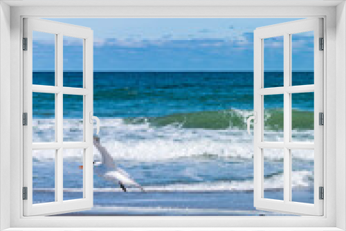 Fototapeta Naklejka Na Ścianę Okno 3D - Beautiful picture with the view of Melbourne Beach in Florida with Gull birds