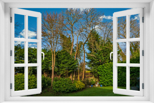 Fototapeta Naklejka Na Ścianę Okno 3D - my garden