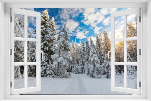 Fototapeta Naklejka Na Ścianę Okno 3D - Beautiful winter forest on a sunny day