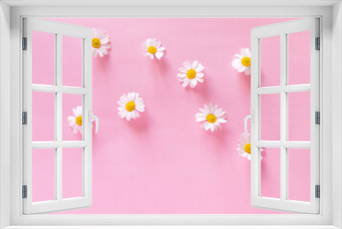 Fototapeta Naklejka Na Ścianę Okno 3D - Daisy flower on a delicate pink background. Spring background. Mother's Day Gift