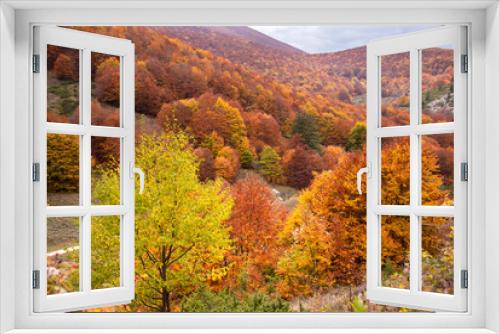 Fototapeta Naklejka Na Ścianę Okno 3D - Autumn seasonal landscape with colorful trees and fogliage