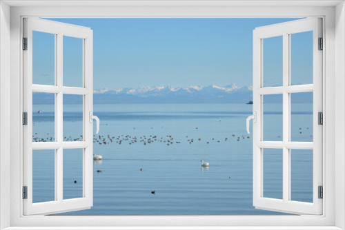 Fototapeta Naklejka Na Ścianę Okno 3D - Am Bodensee mit Blick zu den Alpen