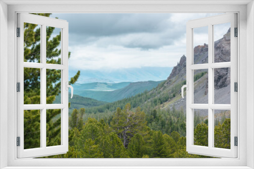 Scenic view from sunlit coniferous trees to forest valley and sharp rocky mountain range in low clouds. Awesome mountain landscape with cedar in conifer forest and sharp rocks at changeable weather.