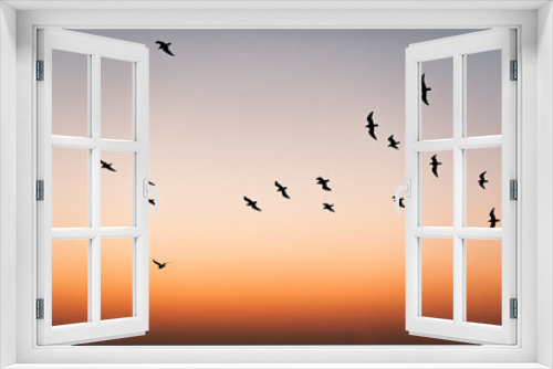 Fototapeta Naklejka Na Ścianę Okno 3D - Bandada de pájaros volando en el atardecer