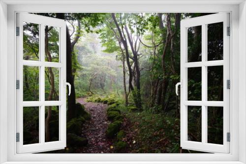 Fototapeta Naklejka Na Ścianę Okno 3D - a mystic pathway through misty autumn forest