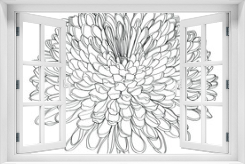 Fototapeta Naklejka Na Ścianę Okno 3D - hand drawn sketch of a flower