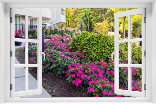 Fototapeta Naklejka Na Ścianę Okno 3D - Beautiful plants and flowers in front of residential house in Ottawa, Canada in summer . Landscape near apartment building.
