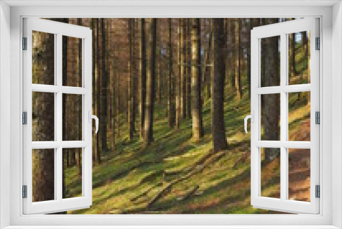 Fototapeta Naklejka Na Ścianę Okno 3D - árboles 3