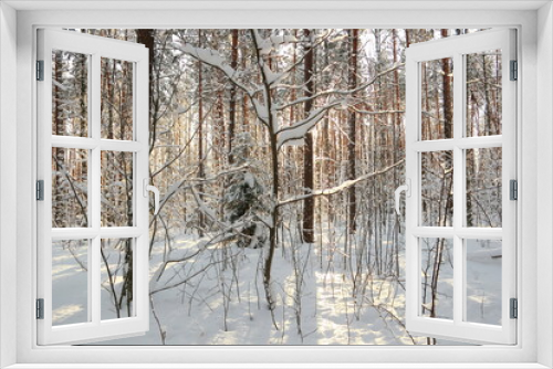 Fototapeta Naklejka Na Ścianę Okno 3D - Winter frosty forest. There is a lot of snow and trees in the snow.