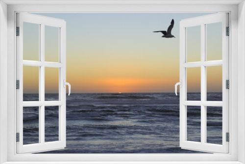 Fototapeta Naklejka Na Ścianę Okno 3D - horizonte, ocaso y una silueta de una gaviota volando