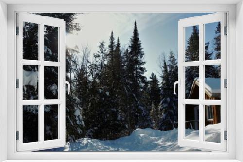 Fototapeta Naklejka Na Ścianę Okno 3D - house in the forest