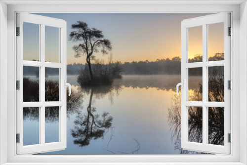Fototapeta Naklejka Na Ścianę Okno 3D - Horizontal view on a tree on a little island in lake Groot Goorven in Oisterwijk with trees on the horizon and reflections in the water during sunrise in winter. Golden hour landscape with copy space