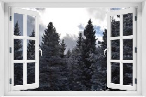 Fototapeta Naklejka Na Ścianę Okno 3D - Alpen-Wälder-Winter