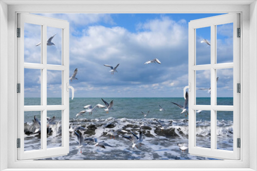 Fototapeta Naklejka Na Ścianę Okno 3D - A flock of seagulls flies in the sky over the sea during the day and swims in big white waves. Sunny day. High quality photo