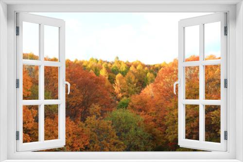 Fototapeta Naklejka Na Ścianę Okno 3D - 美しい紅葉の風景