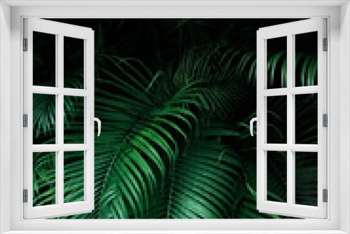 Fototapeta Naklejka Na Ścianę Okno 3D - Tropical foliage green dark background